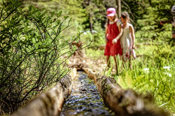 Platzplan & Ausstattung 18 Zwei kleine Mädchen spielen an einem rustikalen Holzwasserrinne im Wald am Camping Langenwald, umgeben von sattem Grün und Sonnenstrahlen.