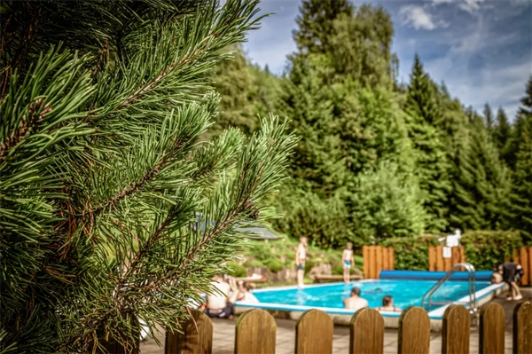 Platzplan & Ausstattung 13 Sicht auf den Pool mit Blick auf den Tannen besetzten Berg im Hintergrund im Camping Langenwald