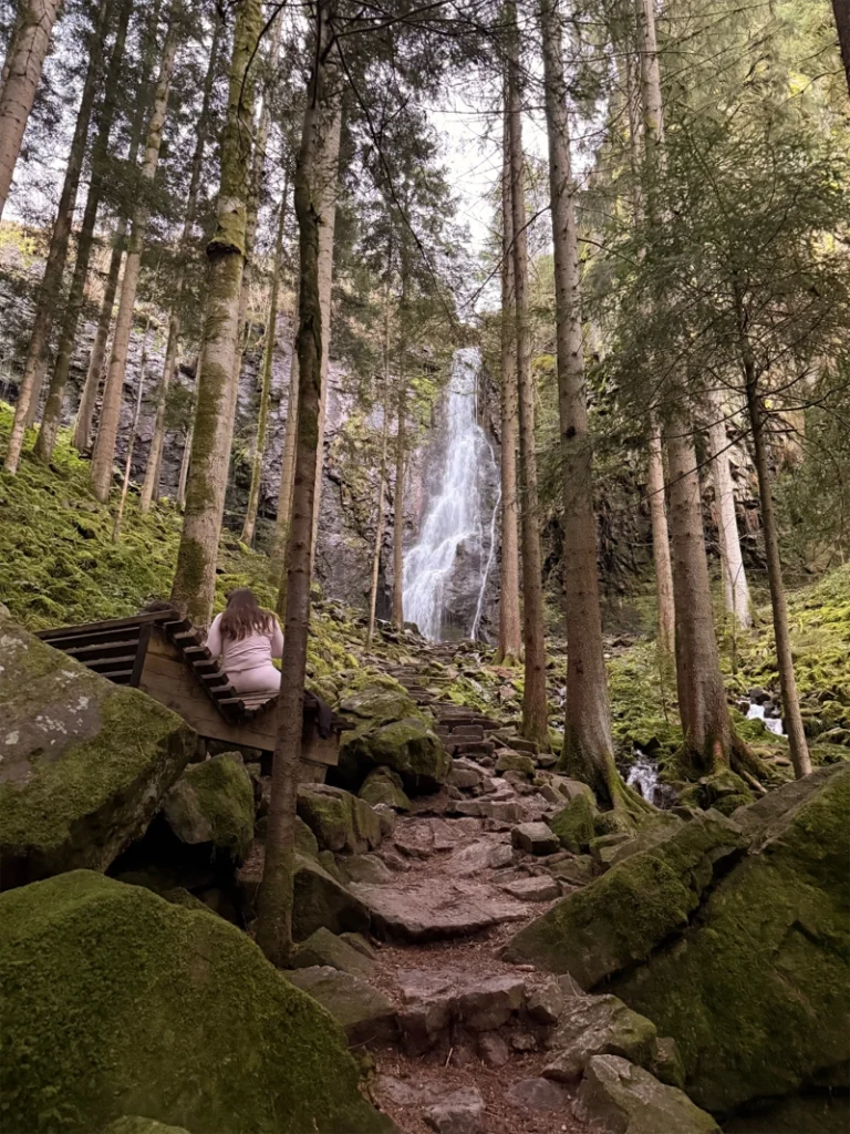 Wandern im Schwarzwald 1 wanderune burgbachwasserfall beitragsbild