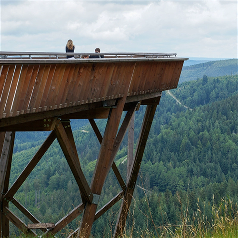 wanderunge camping langenwald ellbachseeblick beitragsbild